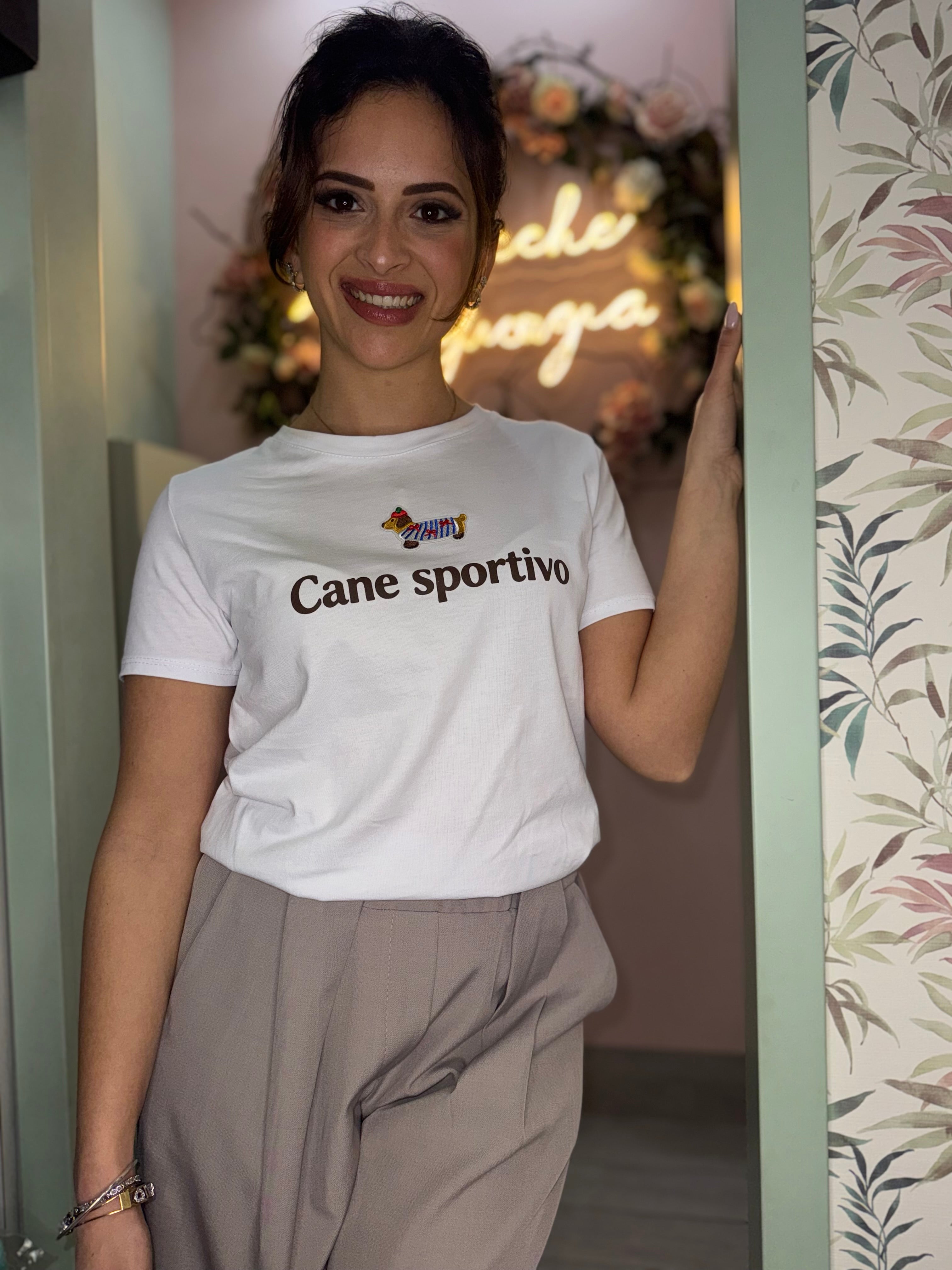 Shirt cane